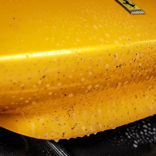 BAD BOYZ CUSTOMS BUG REMOVER