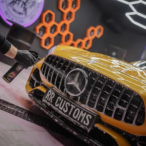 BAD BOYZ CUSTOMS BUG REMOVER