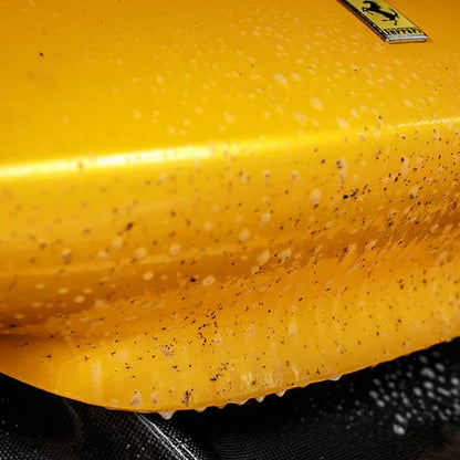 BAD BOYZ CUSTOMS BUG REMOVER